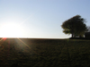 Higher barn - sun set
